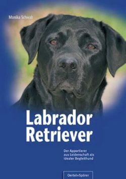Labrador Retriever von Schwab,  Monika