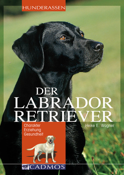 Labrador Retriever von Wagner,  Heike E