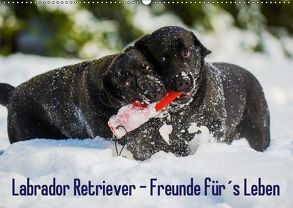 Labrador Retriever – Freunde für´s Leben (Wandkalender 2019 DIN A2 quer) von Starick,  Sigrid