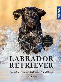 Labrador Retriever von Möller,  Anja