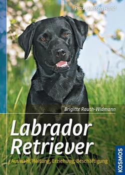 Labrador Retriever von Rauth-Widmann,  Brigitte
