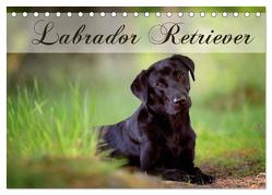 Labrador Retriever (Tischkalender 2024 DIN A5 quer), CALVENDO Monatskalender von Noack,  Nicole