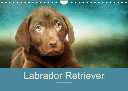 Labrador Retriever unsere Freunde (Wandkalender 2023 DIN A4 quer) von Camadini Switzerland,  M.
