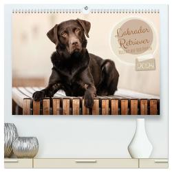 Labrador Retriever – Vielfalt auf Vier Pfoten (hochwertiger Premium Wandkalender 2024 DIN A2 quer), Kunstdruck in Hochglanz von Wobith Photography,  Sabrina