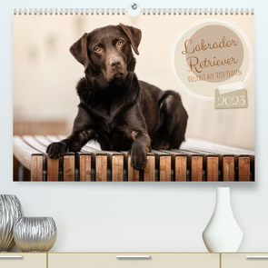 Labrador Retriever – Vielfalt auf Vier Pfoten (Premium, hochwertiger DIN A2 Wandkalender 2023, Kunstdruck in Hochglanz) von Wobith Photography,  Sabrina