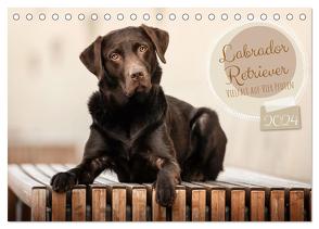 Labrador Retriever – Vielfalt auf Vier Pfoten (Tischkalender 2024 DIN A5 quer), CALVENDO Monatskalender von Wobith Photography,  Sabrina