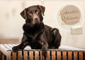 Labrador Retriever – Vielfalt auf Vier Pfoten (Wandkalender 2023 DIN A2 quer) von Wobith Photography,  Sabrina
