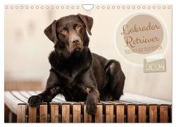 Labrador Retriever – Vielfalt auf Vier Pfoten (Wandkalender 2024 DIN A4 quer), CALVENDO Monatskalender von Wobith Photography,  Sabrina