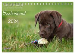 Labrador Welpe – Seelenhund (Tischkalender 2024 DIN A5 quer), CALVENDO Monatskalender von Schiller,  Petra