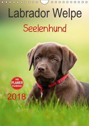 Labrador Welpe – Seelenhund (Wandkalender 2018 DIN A4 hoch) von Schiller,  Petra