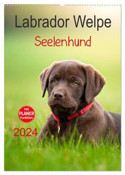 Labrador Welpe – Seelenhund (Wandkalender 2024 DIN A2 hoch), CALVENDO Monatskalender von Schiller,  Petra