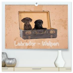 Labrador – Welpen (hochwertiger Premium Wandkalender 2024 DIN A2 quer), Kunstdruck in Hochglanz von Eschrich -HeschFoto,  Heiko