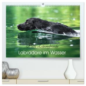 Labradore im Wasser (hochwertiger Premium Wandkalender 2024 DIN A2 quer), Kunstdruck in Hochglanz von Strunz,  Cornelia