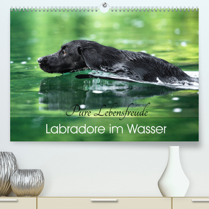 Labradore im Wasser (Premium, hochwertiger DIN A2 Wandkalender 2022, Kunstdruck in Hochglanz) von Strunz,  Cornelia