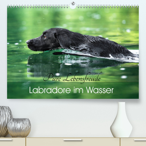 Labradore im Wasser (Premium, hochwertiger DIN A2 Wandkalender 2023, Kunstdruck in Hochglanz) von Strunz,  Cornelia