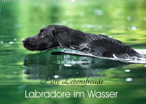 Labradore im Wasser (Wandkalender 2023 DIN A2 quer) von Strunz,  Cornelia