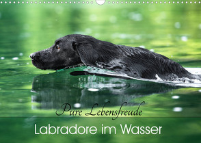 Labradore im Wasser (Wandkalender 2023 DIN A3 quer) von Strunz,  Cornelia