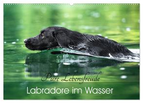 Labradore im Wasser (Wandkalender 2024 DIN A2 quer), CALVENDO Monatskalender von Strunz,  Cornelia