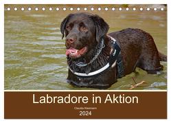 Labradore in Aktion (Tischkalender 2024 DIN A5 quer), CALVENDO Monatskalender von Kleemann,  Claudia