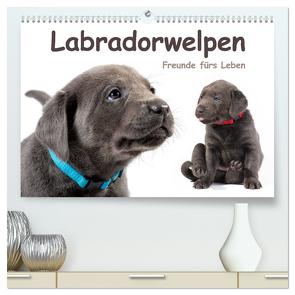 Labradorwelpen – Freunde fürs Leben (hochwertiger Premium Wandkalender 2024 DIN A2 quer), Kunstdruck in Hochglanz von KRÄTSCHMER,  photodesign