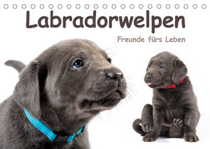 Labradorwelpen – Freunde fürs Leben (Tischkalender 2023 DIN A5 quer) von KRÄTSCHMER,  photodesign