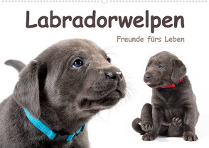 Labradorwelpen – Freunde fürs Leben (Wandkalender 2023 DIN A2 quer) von KRÄTSCHMER,  photodesign