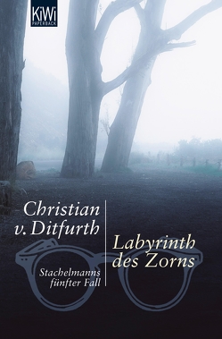 Labyrinth des Zorns von Ditfurth,  Christian von