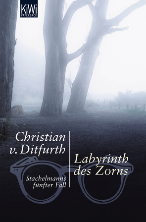 Labyrinth des Zorns von Ditfurth,  Christian von