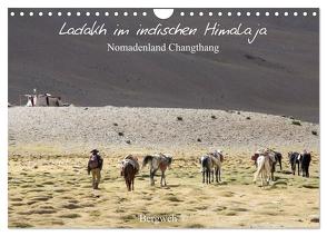 Ladakh im indischen Himalaja – Nomadenland Changthang – Bergweh ® (Wandkalender 2024 DIN A4 quer), CALVENDO Monatskalender von Esser,  Barbara