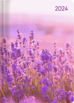 Ladytimer Lavender 2024 – Blume – Taschenkalender A6 – Weekly – 192 Seiten – Notiz-Buch – Termin-Planer – Alpha Edition