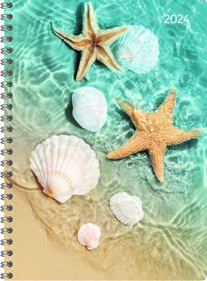 Ladytimer Ringbuch Beach 2024 – Taschen-Kalender A5 (15×21 cm) – Schüler-Kalender – Weekly – Ringbindung – 128 Seiten – Alpha Edition