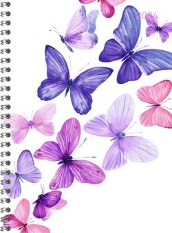 Ladytimer Ringbuch Butterflies 2024 – Taschen-Kalender A5 (15×21 cm) – Schüler-Kalender – Weekly – Ringbindung – 128 Seiten – Alpha Edition