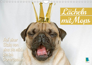 Lächeln mit Mops (Wandkalender 2023 DIN A4 quer) von CALVENDO