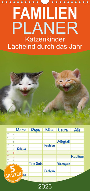 Lächelnd durchs Jahr – Katzenkinder -Familienplaner hoch (Wandkalender 2023 , 21 cm x 45 cm, hoch) von Danegger,  Susanne