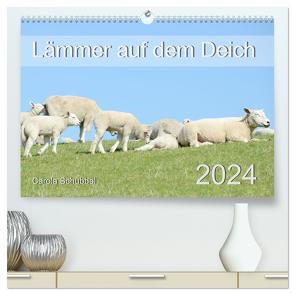 Lämmer auf dem Deich (hochwertiger Premium Wandkalender 2024 DIN A2 quer), Kunstdruck in Hochglanz von Schubbel,  Carola