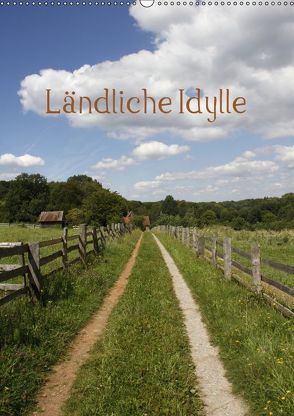 Ländliche Idylle (Wandkalender 2019 DIN A2 hoch) von Lindert-Rottke,  Antje