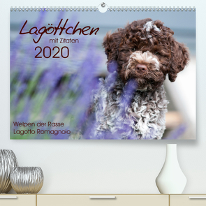 Lagöttchen (Premium, hochwertiger DIN A2 Wandkalender 2020, Kunstdruck in Hochglanz) von Backes,  Ulrich
