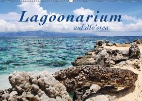 Lagoonarium auf Mo’orea (Wandkalender 2018 DIN A2 quer) von Thiem-Eberitsch,  Jana