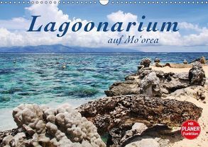 Lagoonarium auf Mo’orea (Wandkalender 2018 DIN A3 quer) von Thiem-Eberitsch,  Jana