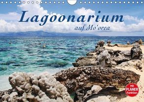 Lagoonarium auf Mo’orea (Wandkalender 2018 DIN A4 quer) von Thiem-Eberitsch,  Jana