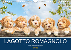 Lagotto Romagnolo – Bilder aus der Kinderstube (Wandkalender 2023 DIN A4 quer) von Starick,  Sigrid