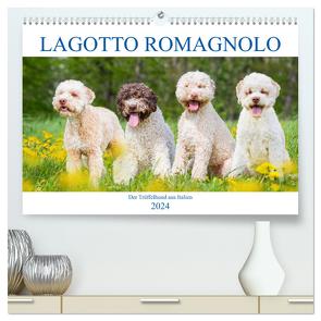 Lagotto Romagnolo – Der Trüffelhund aus Italien (hochwertiger Premium Wandkalender 2024 DIN A2 quer), Kunstdruck in Hochglanz von Starick,  Sigrid