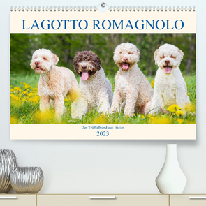 Lagotto Romagnolo – Der Trüffelhund aus Italien (Premium, hochwertiger DIN A2 Wandkalender 2023, Kunstdruck in Hochglanz) von Starick,  Sigrid