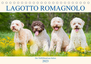 Lagotto Romagnolo – Der Trüffelhund aus Italien (Tischkalender 2023 DIN A5 quer) von Starick,  Sigrid