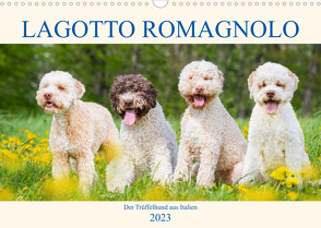 Lagotto Romagnolo – Der Trüffelhund aus Italien (Wandkalender 2023 DIN A3 quer) von Starick,  Sigrid