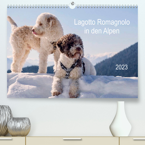 Lagotto Romagnolo in den Alpen 2023 (Premium, hochwertiger DIN A2 Wandkalender 2023, Kunstdruck in Hochglanz) von wuffclick-pic