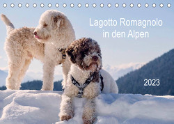 Lagotto Romagnolo in den Alpen 2023 (Tischkalender 2023 DIN A5 quer) von wuffclick-pic