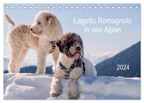 Lagotto Romagnolo in den Alpen 2024 (Tischkalender 2024 DIN A5 quer), CALVENDO Monatskalender von Wuffclick-pic,  Wuffclick-pic