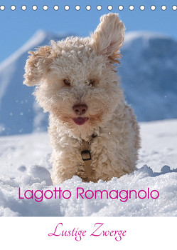 Lagotto Romagnolo – Lustige Zwerge (Tischkalender 2023 DIN A5 hoch) von wuffclick-pic