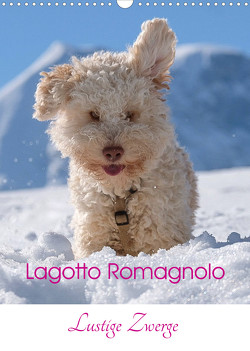Lagotto Romagnolo – Lustige Zwerge (Wandkalender 2023 DIN A3 hoch) von wuffclick-pic